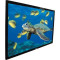 Elite Screens